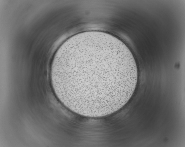 X0000112481419200909281059