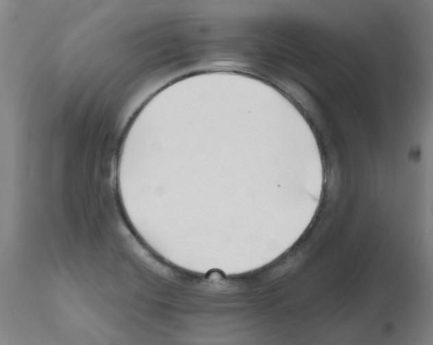 X0000112481420200909281059