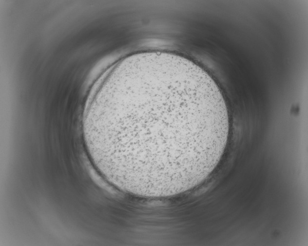 X0000112481421200909281059