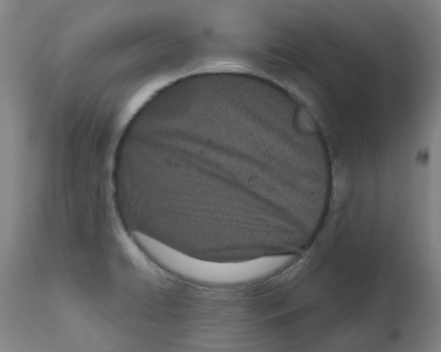 X0000112481422200909281059