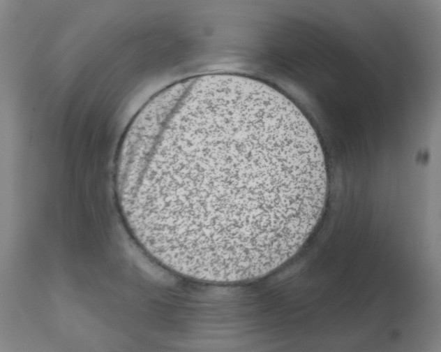 X0000112481423200909281059