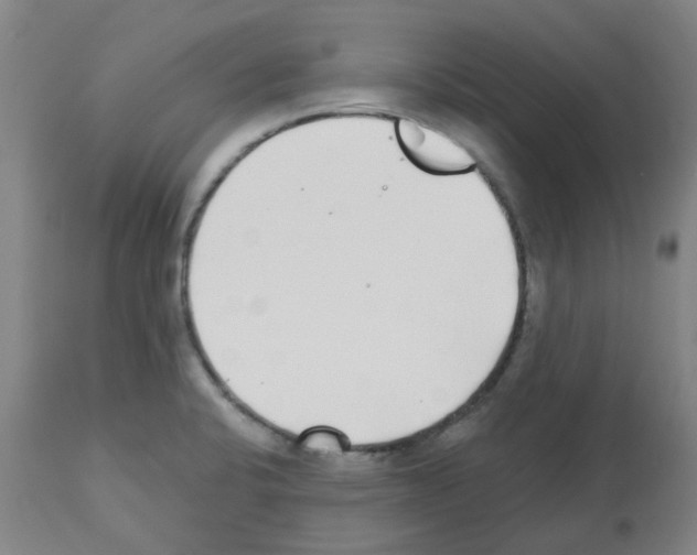 X0000112481424200909281059