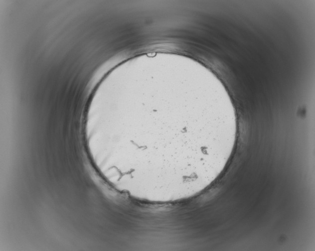 X0000112481426200909281059