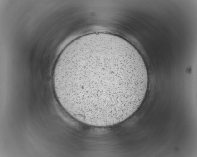 X0000112481427200909281059