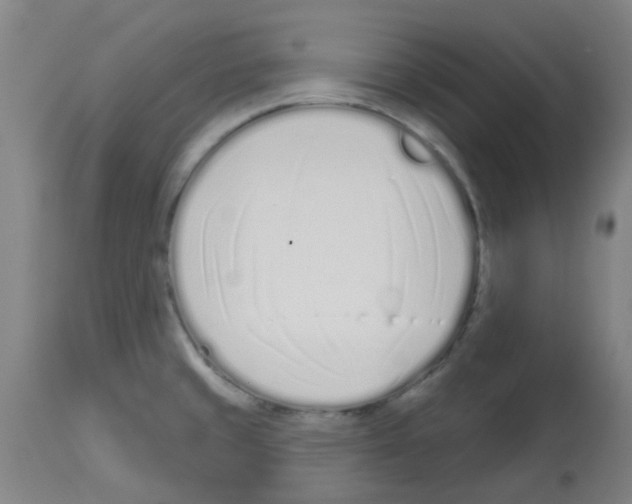 X0000112481429200909281059