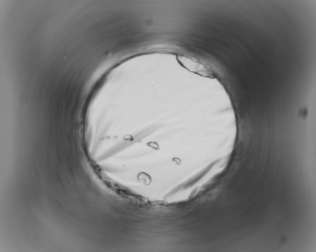 X0000112481430200909281059