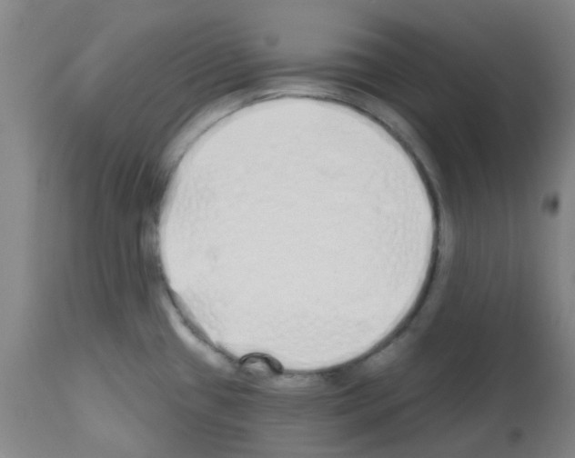 X0000112481433200909281059