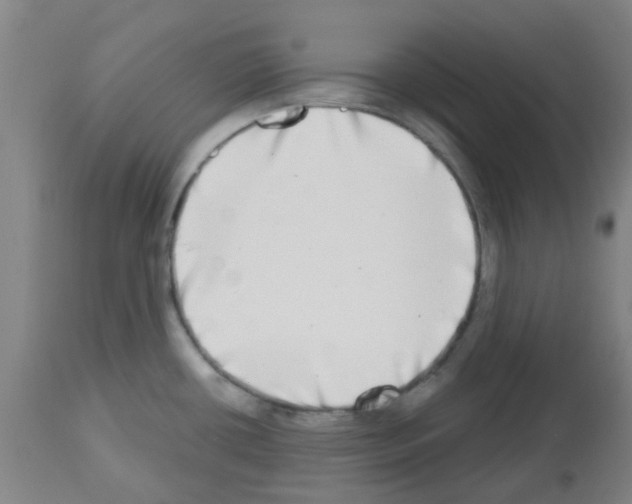 X0000112481434200909281059