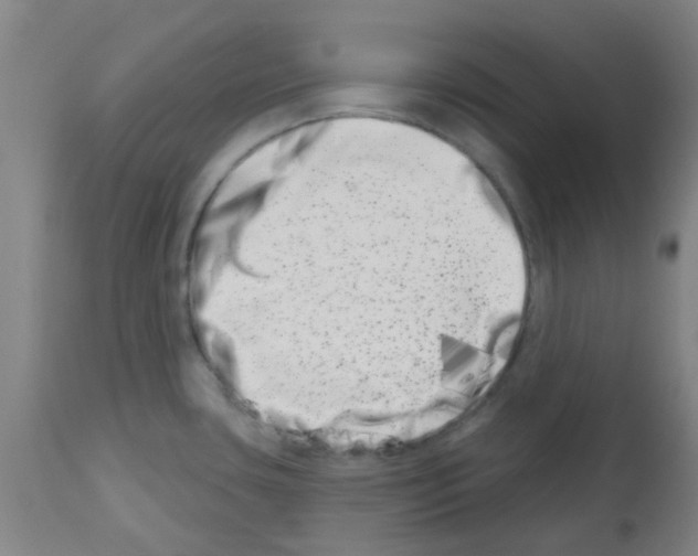 X0000112481435200909281059