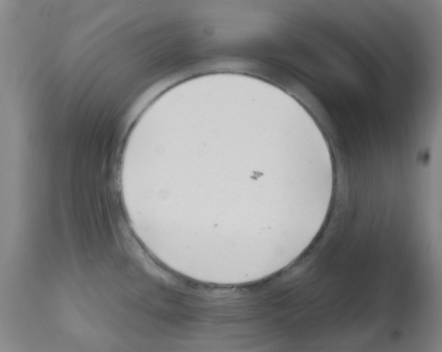 X0000112481436200909281059