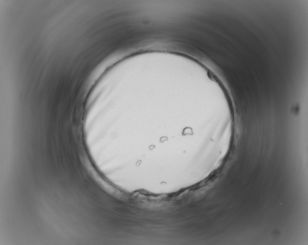 X0000112481437200909281059