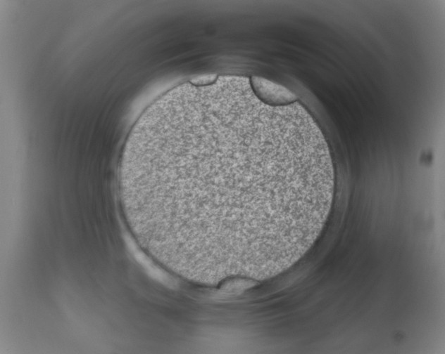 X0000112481439200909281059