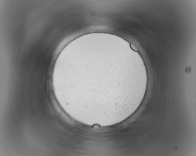 X0000112481440200909281059