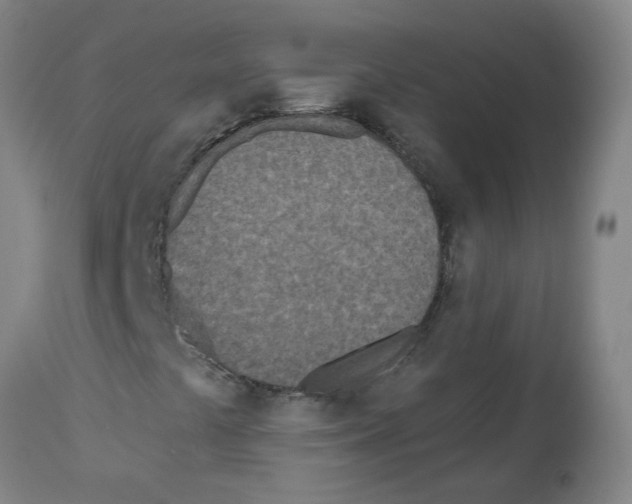 X0000112481441200909281058