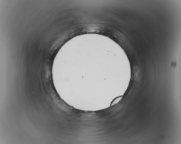 X0000112481442200909281058