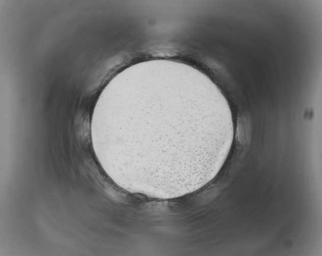 X0000112481444200909281058