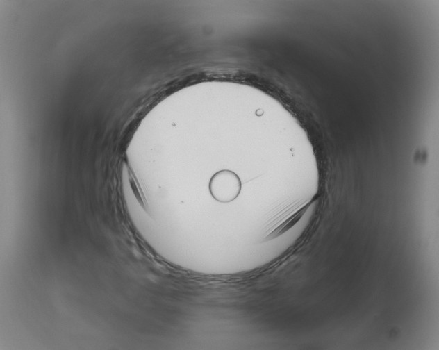 X0000112481445200909281058