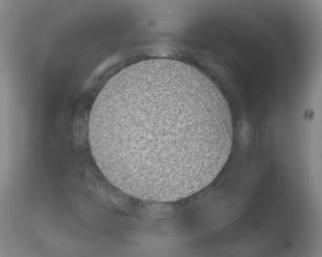 X0000112481446200909281058