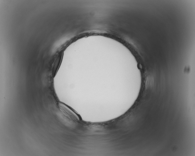 X0000112481448200909281058