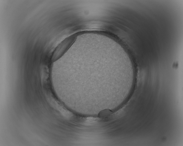 X0000112481449200909281058