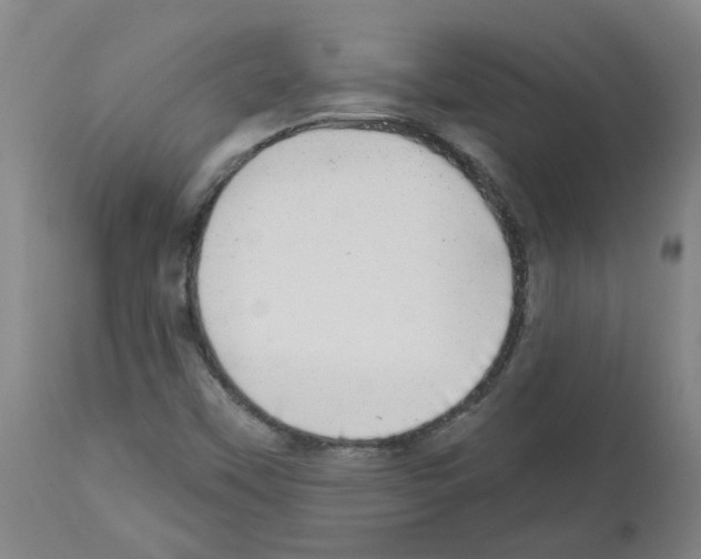 X0000112481451200909281058