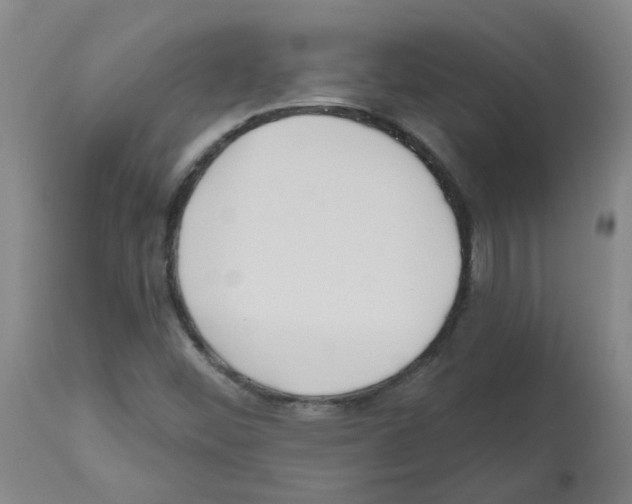 X0000112481452200909281058