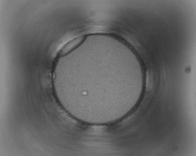 X0000112481453200909281058