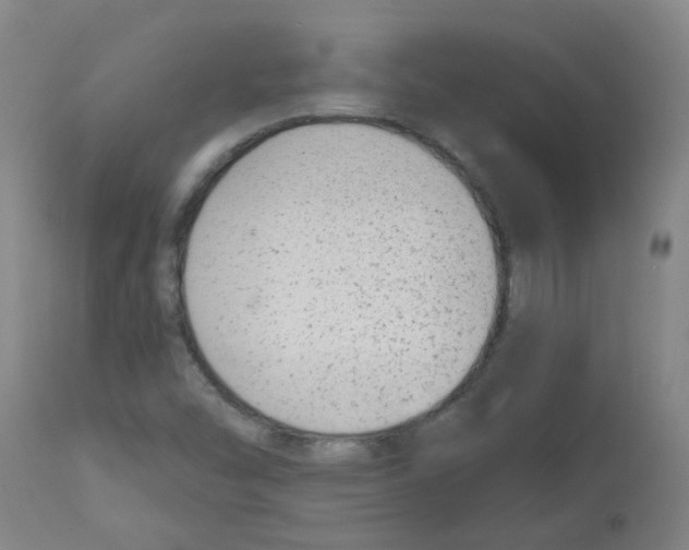 X0000112481454200909281058