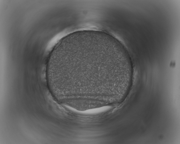 X0000112481455200909281058