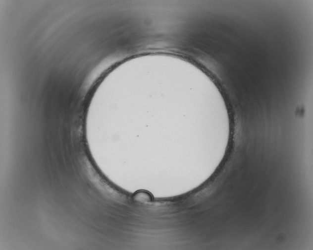 X0000112481458200909281058