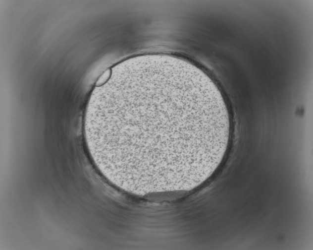 X0000112481459200909281058