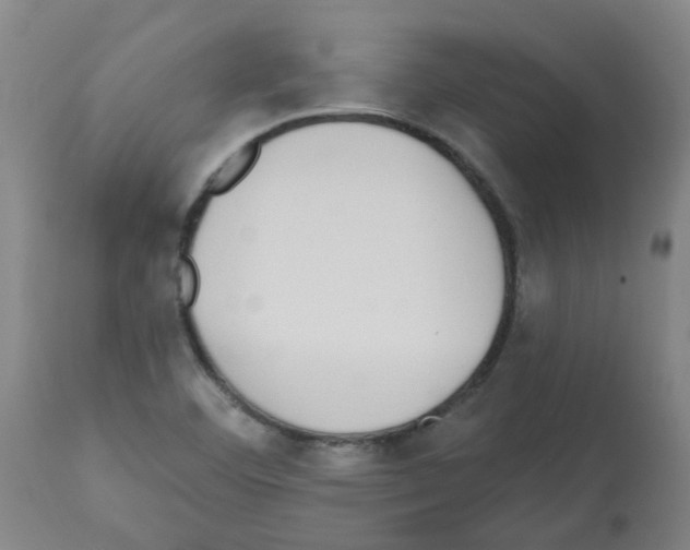 X0000112481460200909281058