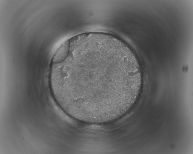 X0000112481463200909281058