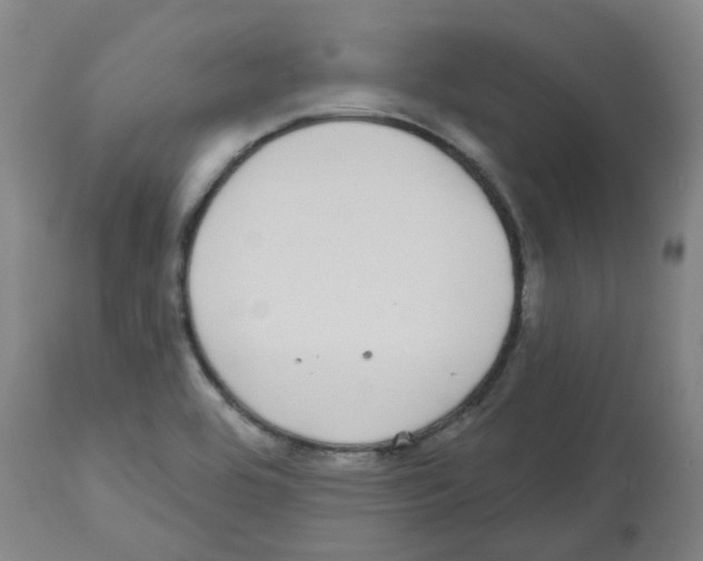 X0000112481464200909281058