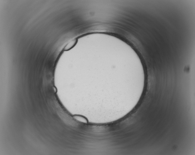 X0000112481465200909281058