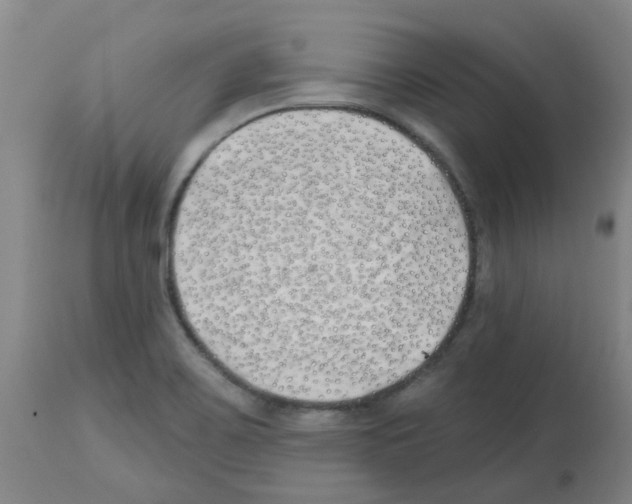 X0000112481467200909281058