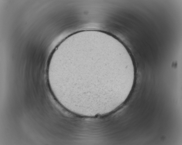 X0000112481469200909281058