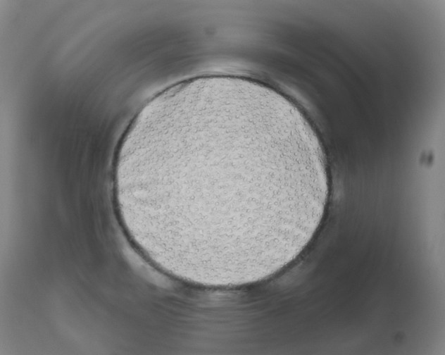 X0000112481471200909281058