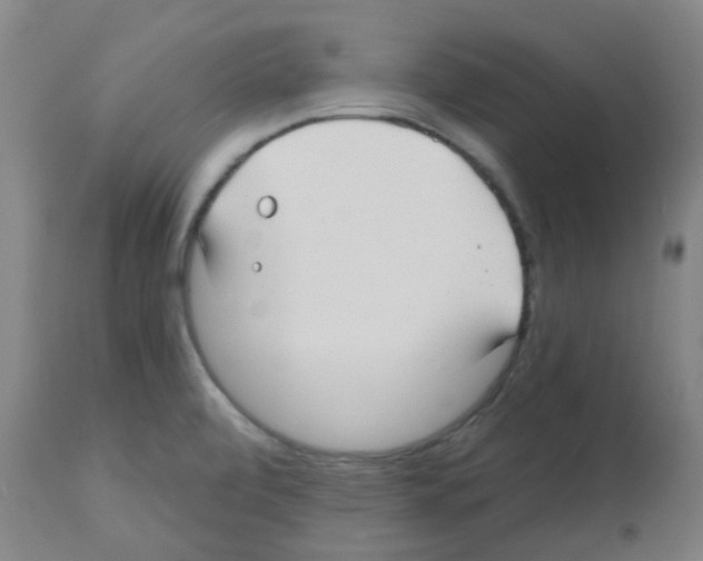 X0000112481472200909281058