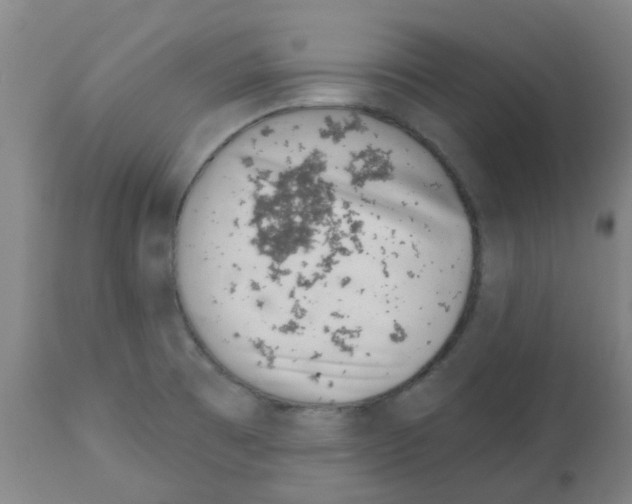 X0000112481473200909281058