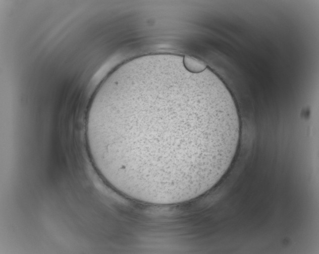 X0000112481474200909281058