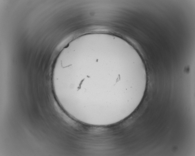 X0000112481475200909281058