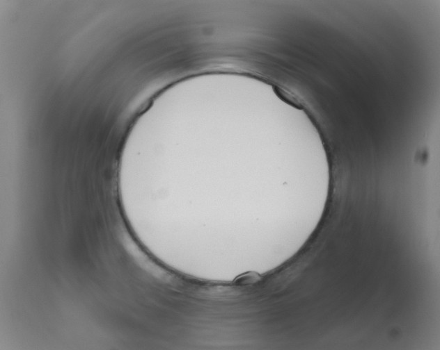 X0000112481476200909281058