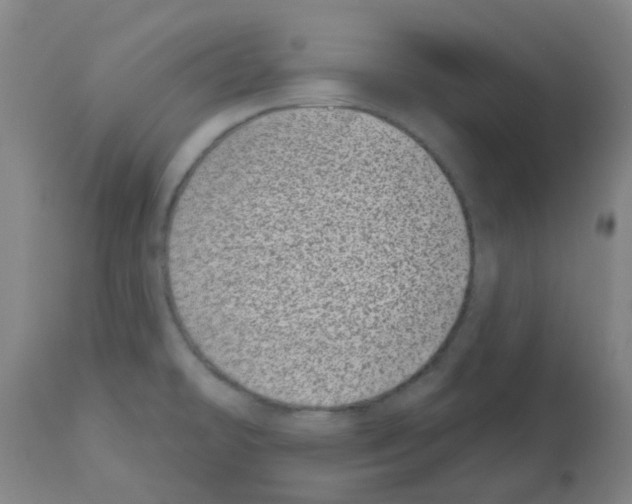 X0000112481478200909281058