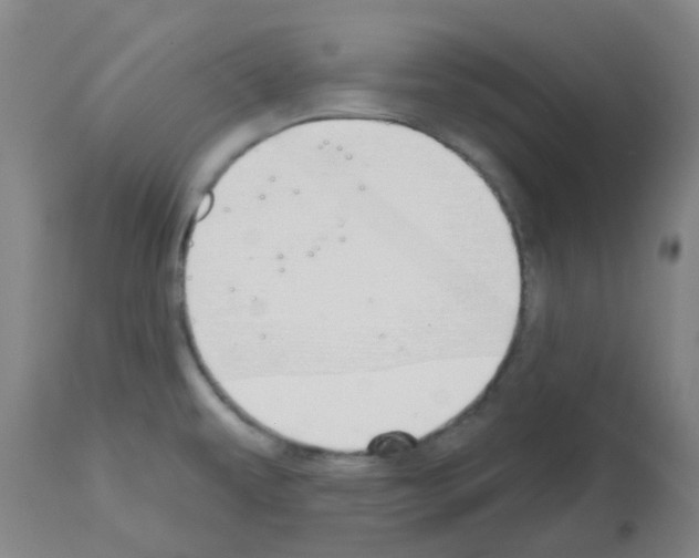 X0000112481479200909281058