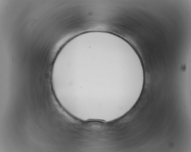 X0000112481480200909281058