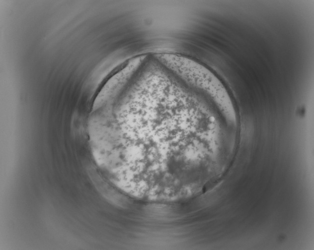 X0000112481481200909281058