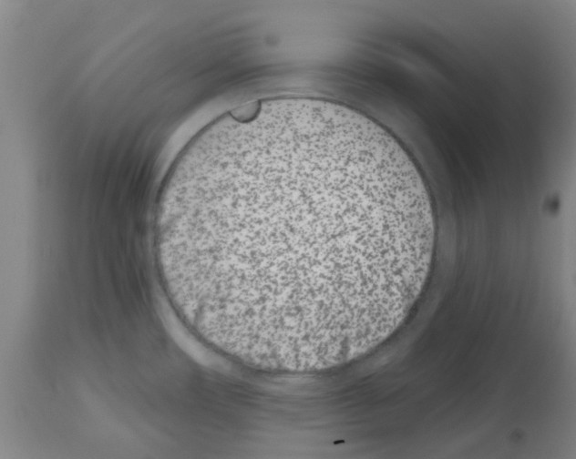 X0000112481482200909281058