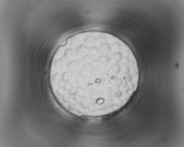 X0000112481483200909281058