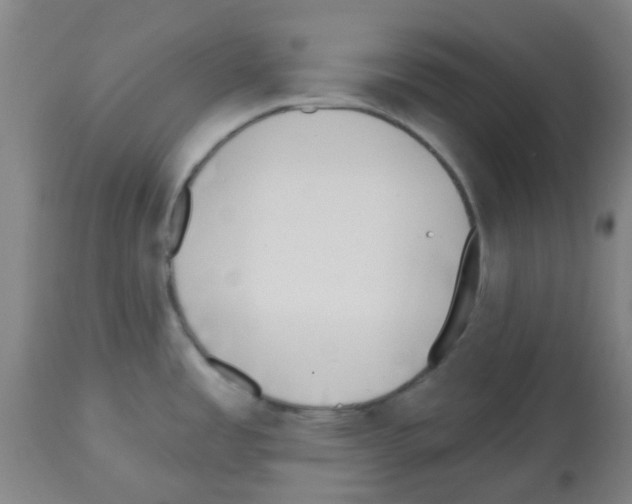 X0000112481485200909281058